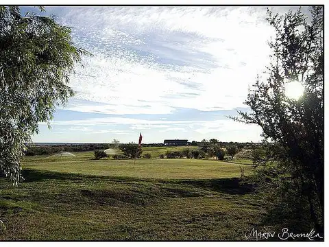 Parcela 19
