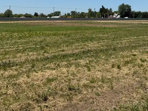 Terreno en Venta en Centro, USD 360.000