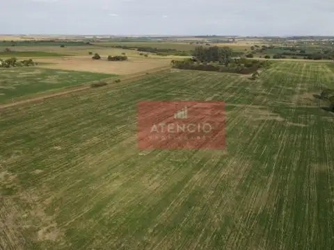 Camino Rural 21