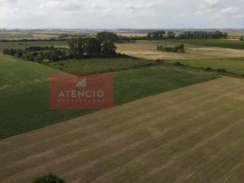 Camino Rural 21