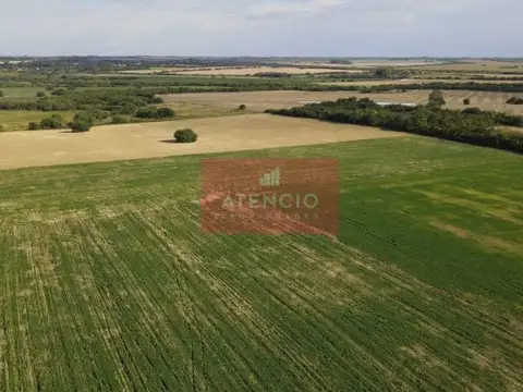Camino Rural 21