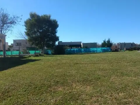 La primavera 100