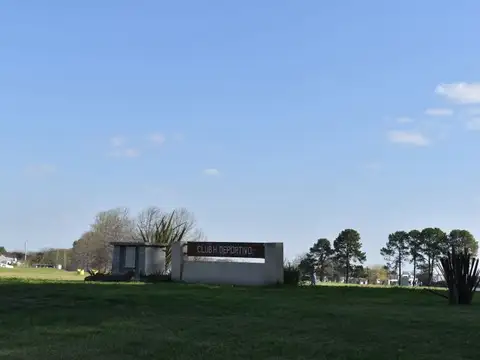 La primavera 100