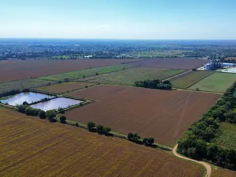 VENTA 40 HECTAREAS FACTIBILIDAD INDUSTRIAL RUTA 9