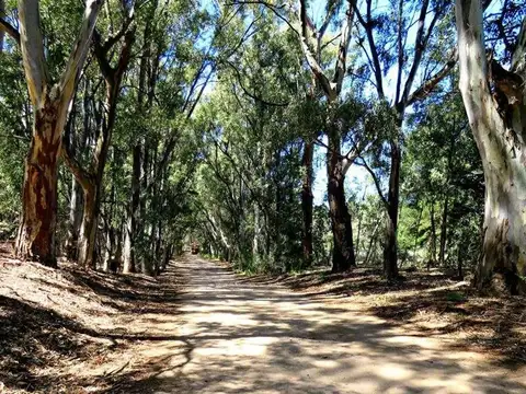 Terreno en Venta en Pehuen Co, USD 90.000