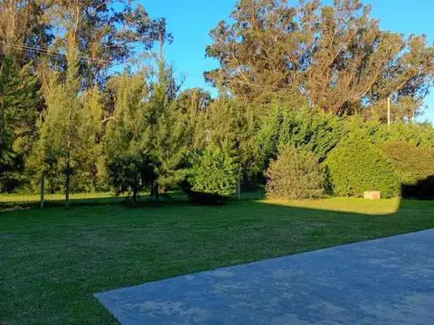 Haras del Mar 100