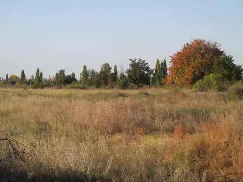 Terreno 2,5 has en Venta La Consulta Valle de Uco