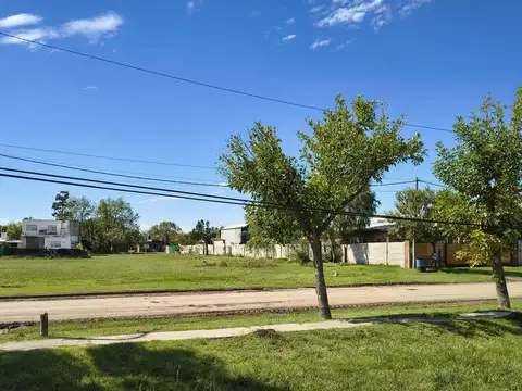 4 terrenos juntos o lotes separados