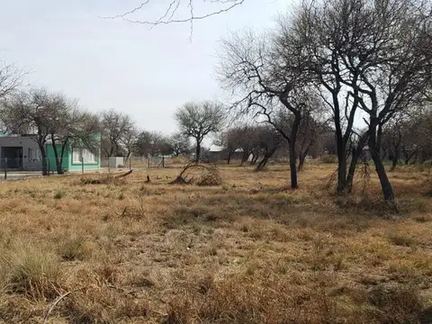 Terreno en Venta de 1291,0 m2