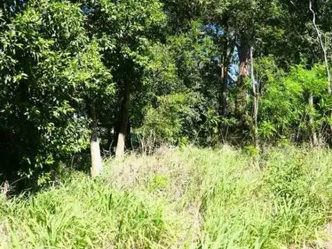 Terreno en Venta en Arroyo Aguiar, USD 33.000