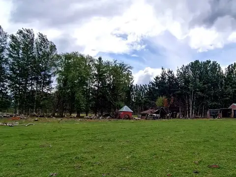 Campo Productivo en Venta ? 15 Hectáreas
