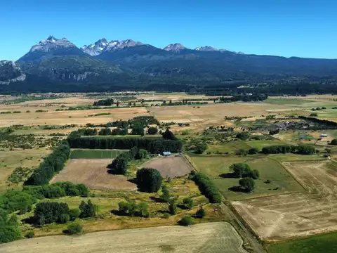 Campo Productivo en Venta ? 15 Hectáreas