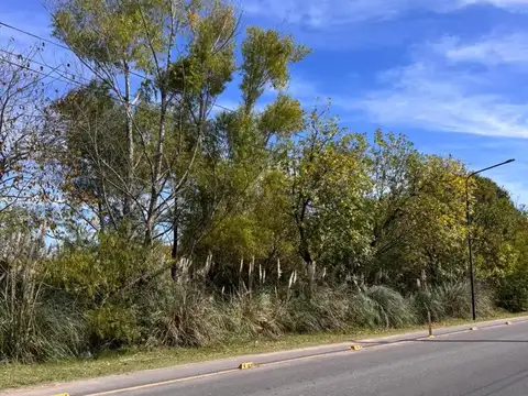 Terreno en Venta de 72600,0 m2