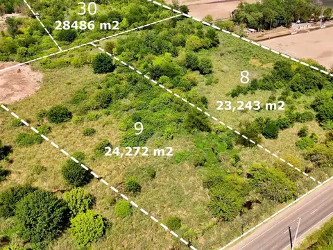 VENTA  LOTES EN NORDELTA
