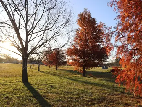 Terreno en Venta 50  mts Fondo