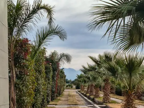 Terreno en Venta de 500,0 m2