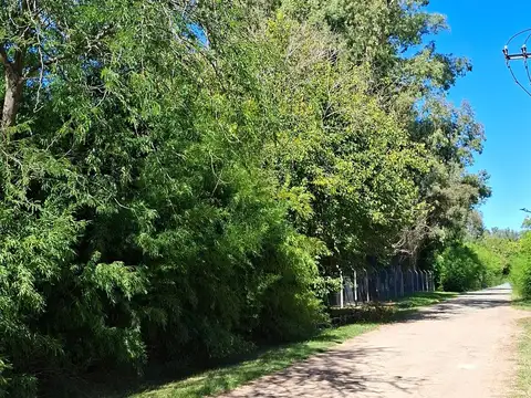Terreno en Venta 90  mts Fondo