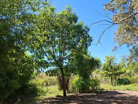 Terreno en Venta de 4698,0 m2