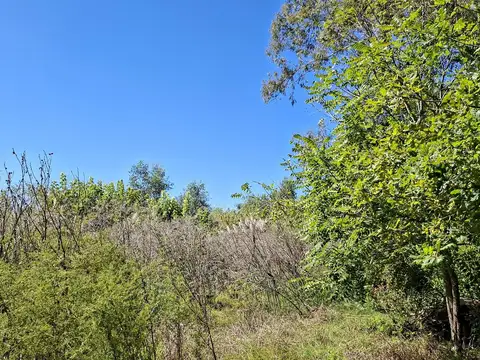 Excelente terreno de 4.698 m2 en Carabassa a metros de Sor Teresa con posibilidades de financiación!