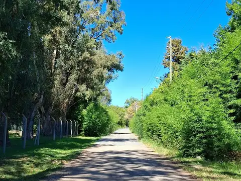 Excelente terreno de 4.698 m2 en Carabassa a metros de Sor Teresa con posibilidades de financiación!