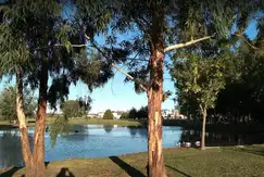 Haras del Sur II - Foto 16