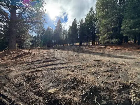 VENTA TERRENO  SAN MARTIN DE LOS ANDES . CHAPELCO GOLF .