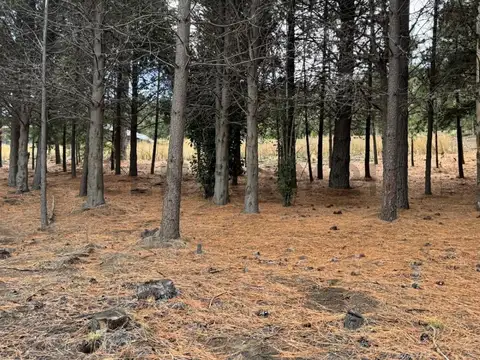 VENTA TERRENO  SAN MARTIN DE LOS ANDES . CHAPELCO GOLF .