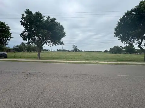 Leandro Firpo Martin De Yrigoyen