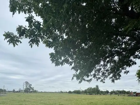 Terreno en Venta en Leandro N Alem, USD 70.000