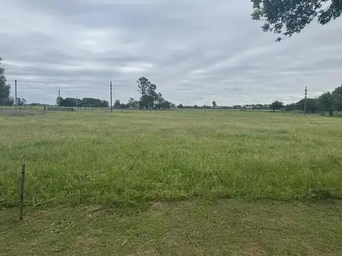 LOTES EN VENTA EN LEANDRO N ALEM