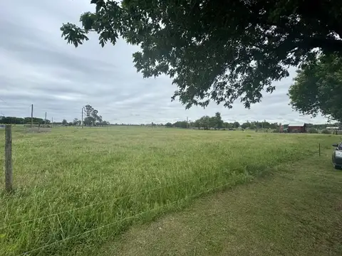 Leandro Firpo Martin De Yrigoyen