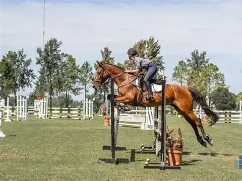 Casa en Alquiler en Los Lagartos, USD 1.900