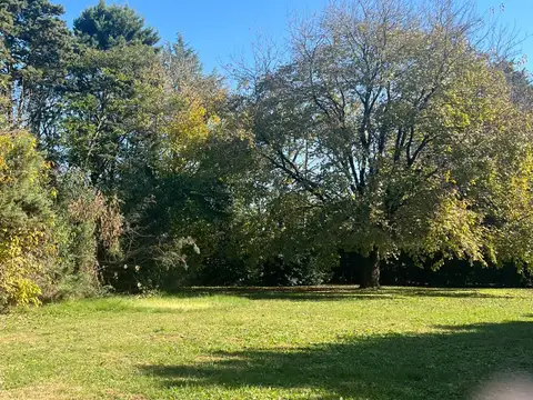 Oportunidad! Lotes Con Arboleda A Excelente Precio En Venta, General Las Heras