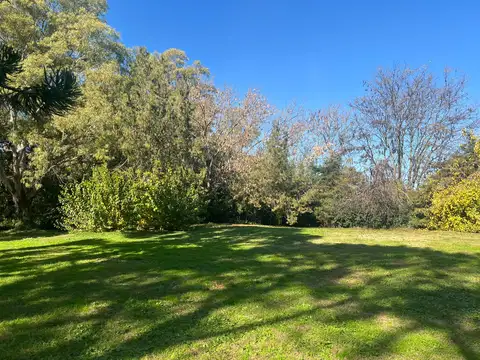 Oportunidad! Lotes Con Arboleda A Excelente Precio En Venta, General Las Heras