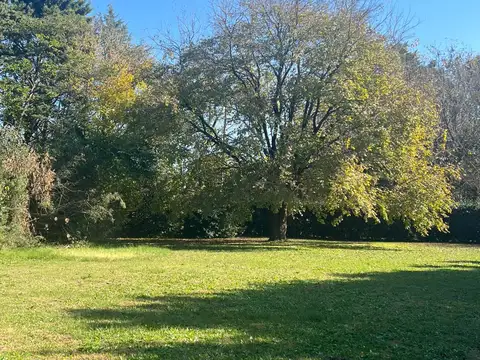 Terreno en Venta 48  mts Fondo