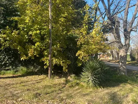 Rivadavia 1000