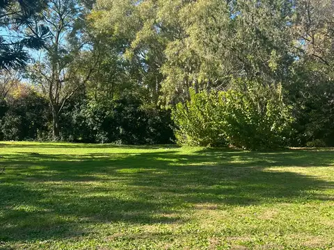 Rivadavia 1000