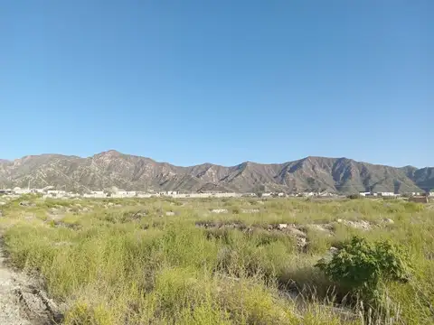LA PAMPA S/N