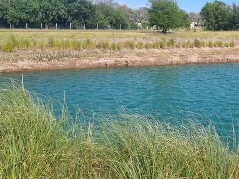 Terreno en Venta de 2000,0 m2