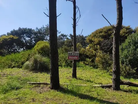 Corbeta Uruguay entre Albatros y Alte. Brown