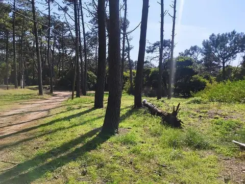 Terreno en Venta de 675,0 m2