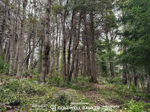 Terreno en Venta en Selva Triste, USD 34.500