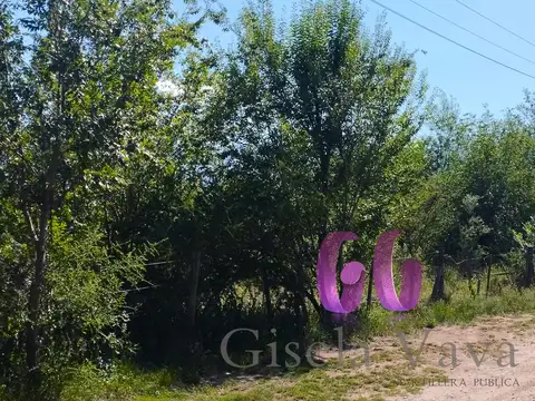 Terreno en Venta de 978,0 m2