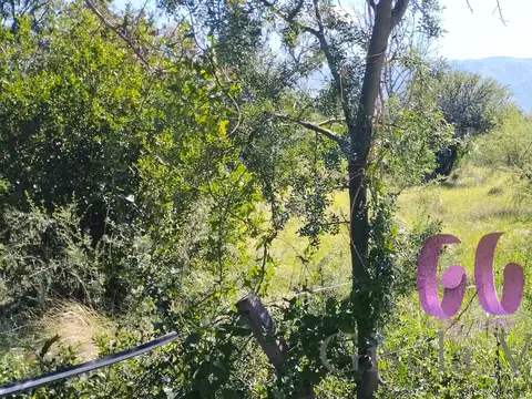 Camino de la Colonia