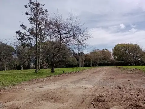 Terreno en Venta 45  mts Fondo