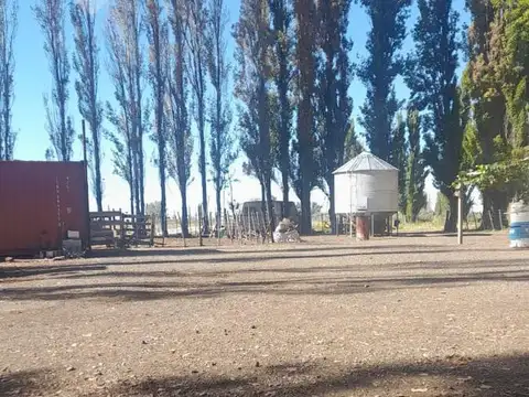 En Venta, Chacras Productivas de 34 Ha, Entre Lamarque y Pomona.