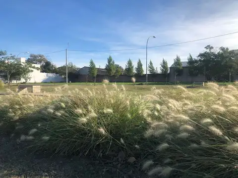 Terreno en Venta de 252,0 m2