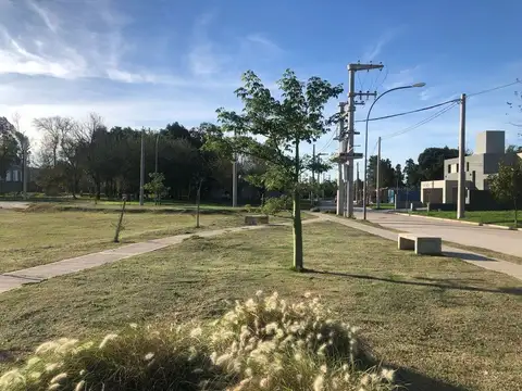 OPORTUNIDAD LOTES COLINDANTES JARDIN DE LAS TEJAS