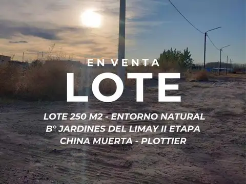 VENTA LOTE B°JARDINES DEL LIMAY II CHINA MUERTA