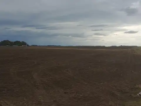 Campo de 133 hectáreas mixtas, Lobería